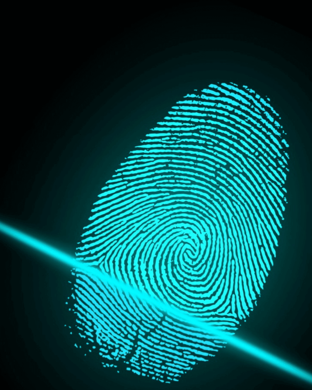 ISMS als Erfolgsfaktor: Langfristige Sicherheit zahlt sich aus!