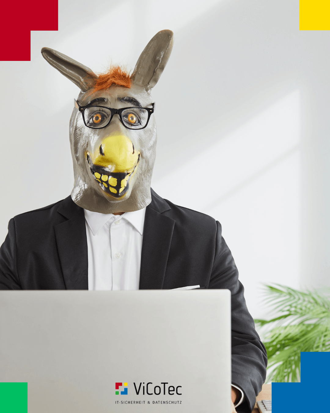 Dumm gelaufen! Kryptodieb wird zum Phishing-Opfer