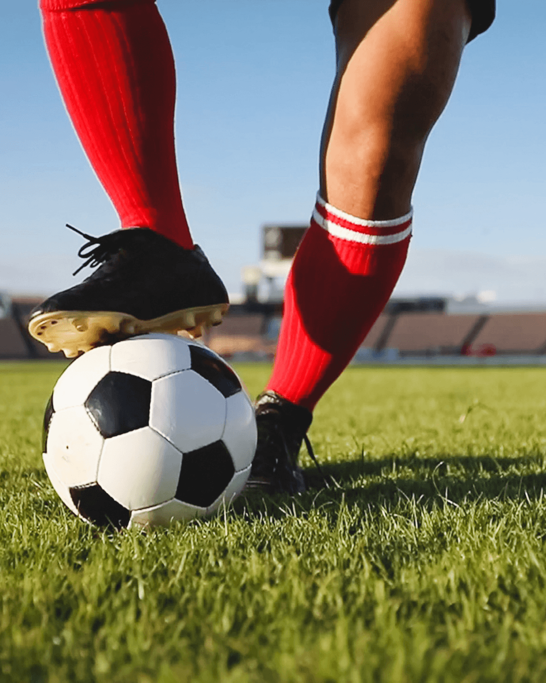 Was hat der FC Bayern mit ViCoTec gemeinsam?